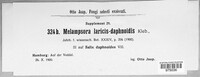 Image of Melampsora laricis-daphnoidis